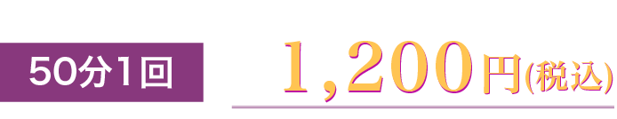 ２ヶ月完結コース 28900円（税別）