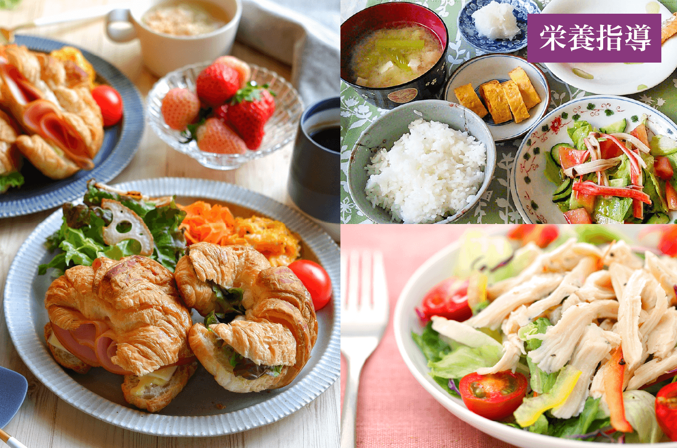 栄養指導